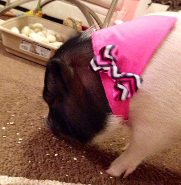 Pink Zig Zag Reversible Bow Bandana - Snort Life, Mini Pig Clothes