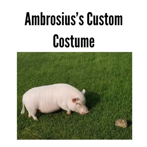 Ambrosius’s Custom Costume