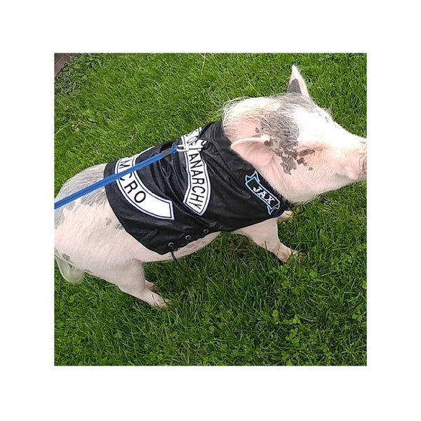 Hogs Of Anarchy Motorcycle Jacket - Snort Life - 2