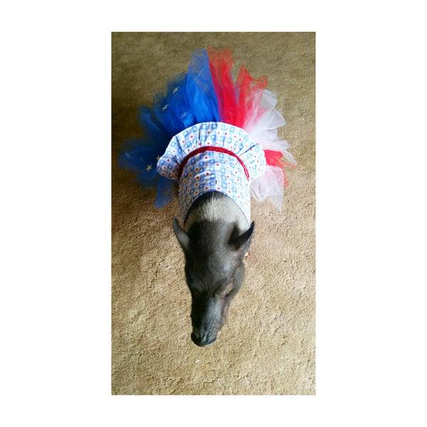 Let Freedom Ring Tutu Dress - Snort Life - 3