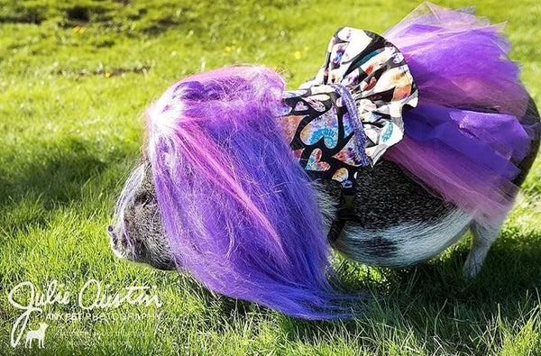 Peace, Love & Tie-Dye Tutu Dress