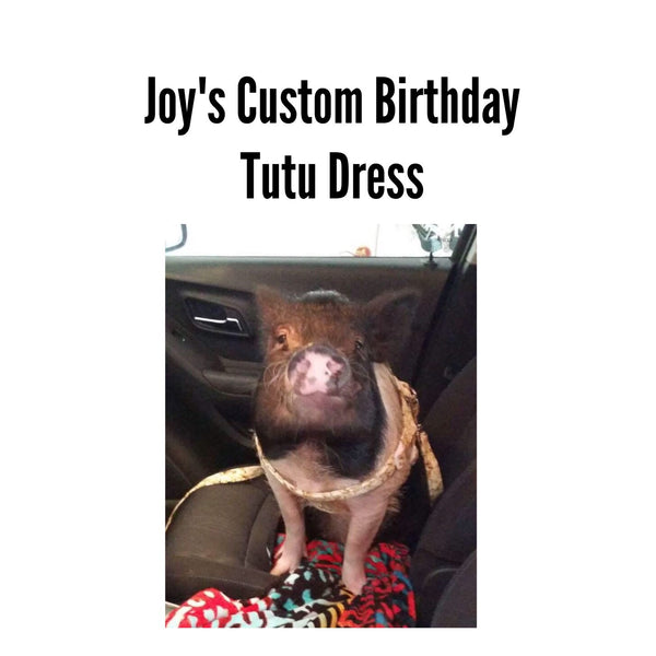 Joy's Custom Birthday Tutu Dress