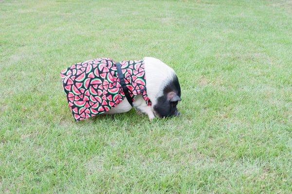 A Slice Of Summer Dress - Snort Life - 3