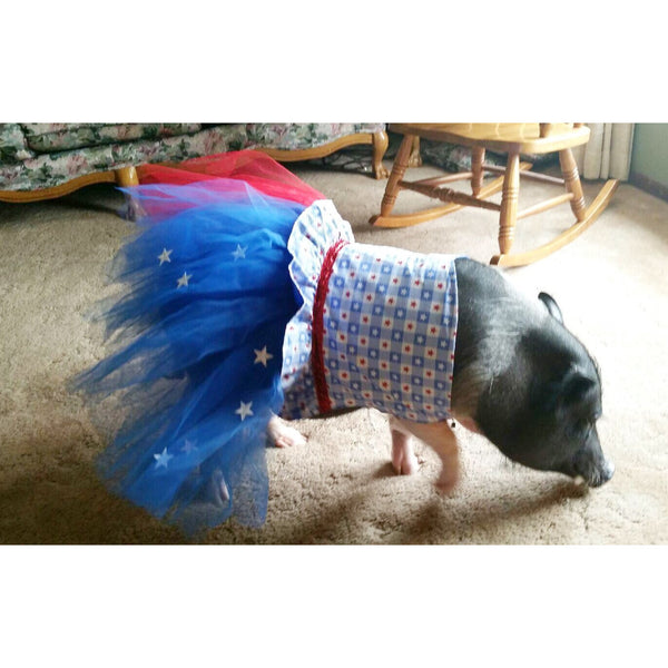 Let Freedom Ring Tutu Dress - Snort Life - 2