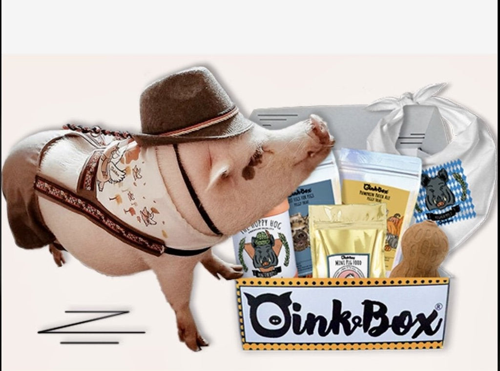OinkBox Subscription Review