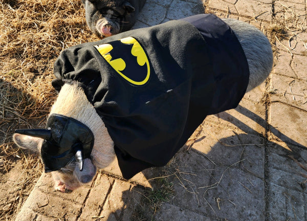 Frankie’s Custom Vest & Police Costume