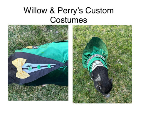 Willow & Perry’s Custom Irish Costumes & Easter Costumes