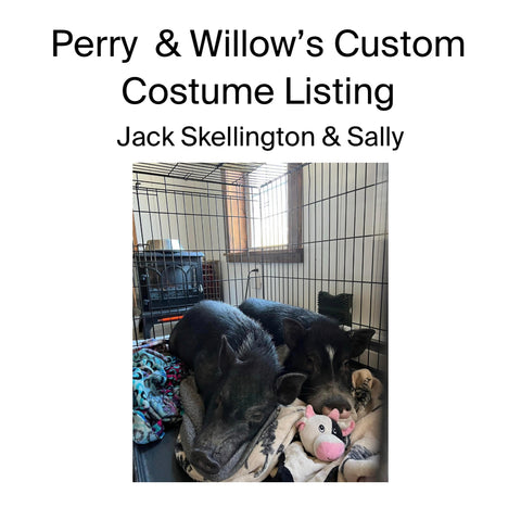 Perry & Willow’s Custom Jack Skellington & Sally Costumes