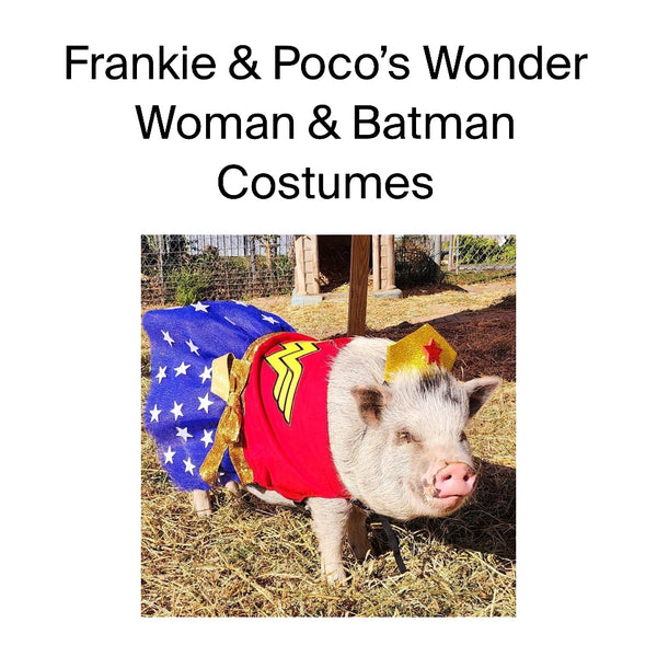 Frankie & Poco’s Custom Batman & Wonder Woman Costumes