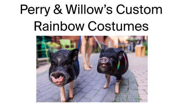 Perry & Willow’s Custom Rainbow Costumes