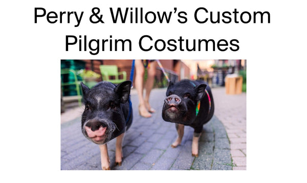 Perry & Willow’s Custom Pilgrim Costumes
