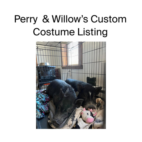 Perry & Willow’s Custom Costume Listing