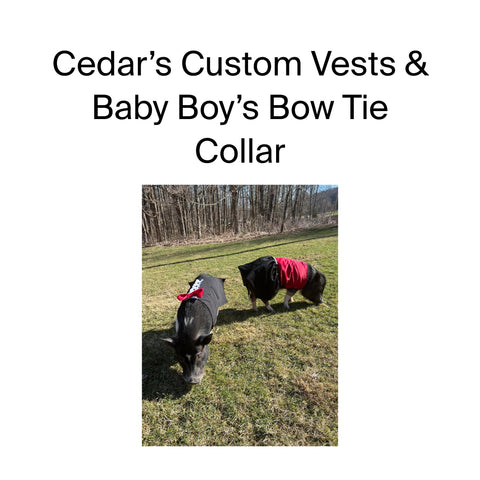 Cedar’s Custom Vests & Baby Boy’s Bow Tie Collar