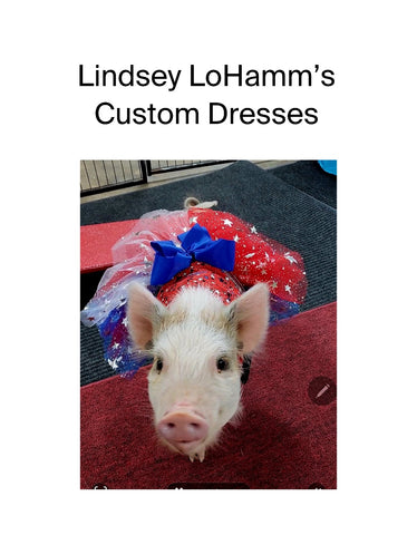 Lindsey LoHamm’s Custom Dresses