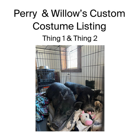 Perry & Willow’s Custom Thing 1 & Thing 2 Costumes