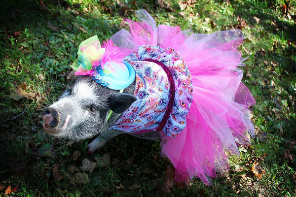 Birds Of A Feather Tutu Dress