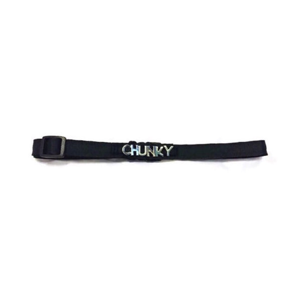Personalized Name Non-Rhinestone Collar--Up to 5 Letters