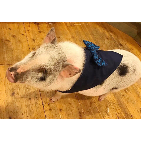 JT Reversible Bow Tie Bandana