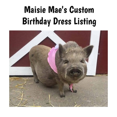 Maisie Mae's Custom Birthday Dress Listing