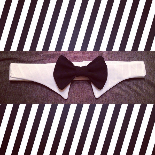 Black Tie Event Shirt Collar Bow Tie Set - Snort Life, Mini Pig Clothes