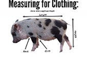 Tulle Velcro Dress Bottoms - Snort Life, Mini Pig Clothes