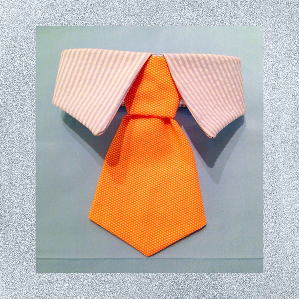 Mr Seersucker Necktie Collar Set - Snort Life, Mini Pig Clothes