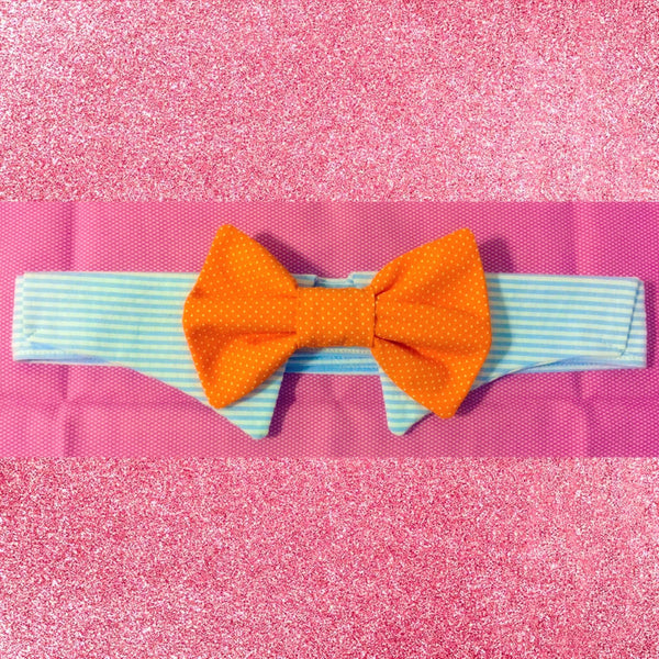 Seersucker Sunday Bow Tie Collar Set - Snort Life, Mini Pig Clothes