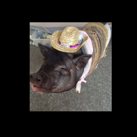 Bandidas Cowgirl Vest - Snort Life, Mini Pig Clothes