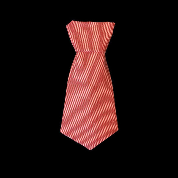 Mr Burns's Neck Tie Collar Set - Snort Life, Mini Pig Clothes