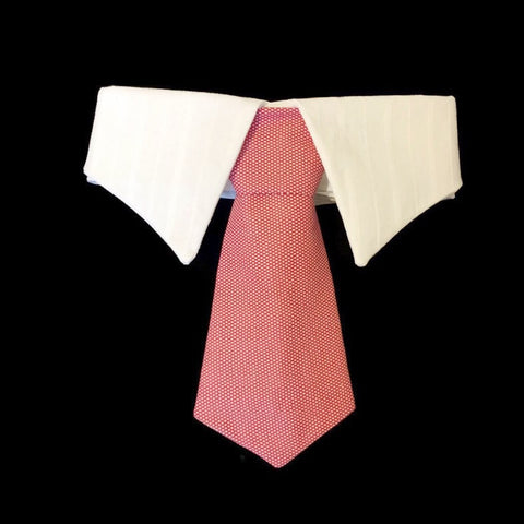 Mr Burns's Neck Tie Collar Set - Snort Life, Mini Pig Clothes