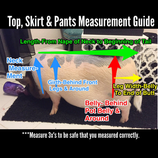 Make A Statement Crop Top & Denim Mini Skirt Set - Snort Life, Mini Pig Clothes