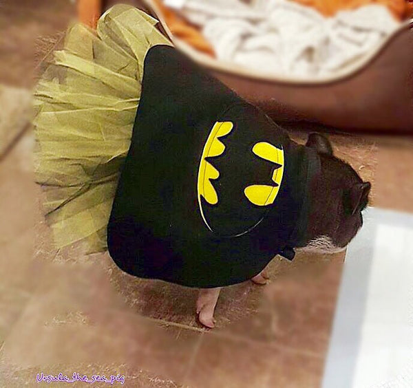 His & Hers Super Hero Cape - Snort Life  - 2