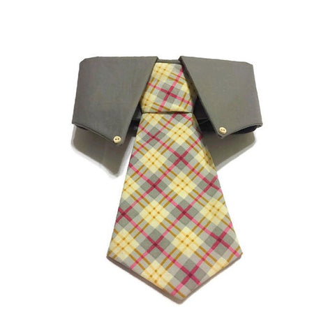 Mr Stanley T Necktie Collar Set - Snort Life, Mini Pig Clothes
