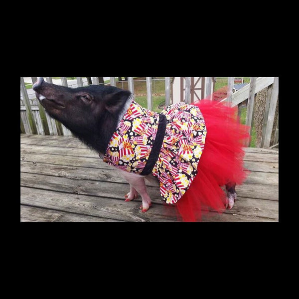 Joy's Pop'n Tutu Dress - Snort Life  - 1