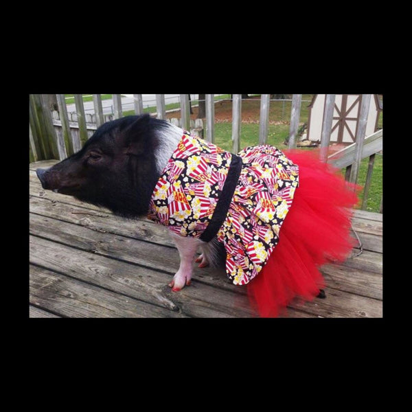 Joy's Pop'n Tutu Dress - Snort Life  - 3