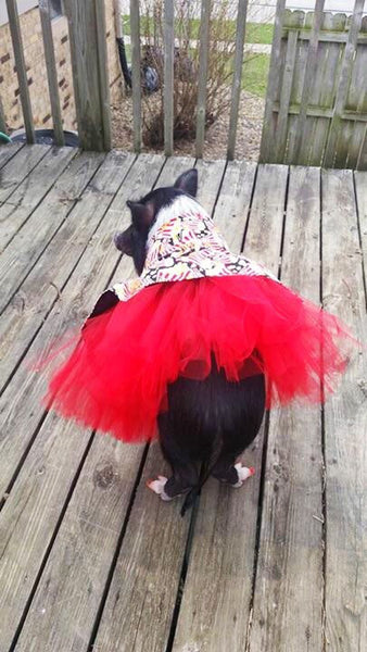 Joy's Pop'n Tutu Dress - Snort Life  - 4