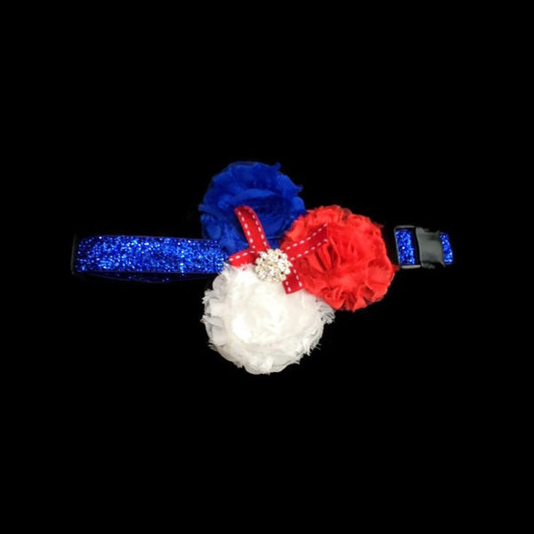 Americana Tutu Skirt & Collar Set - Snort Life  - 2