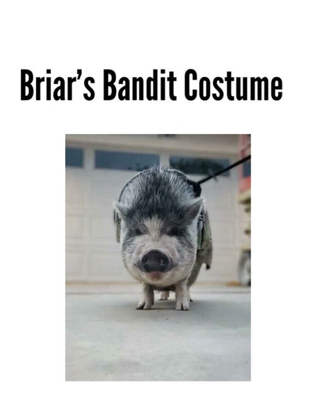 Briar’s Custom Bandit Costume