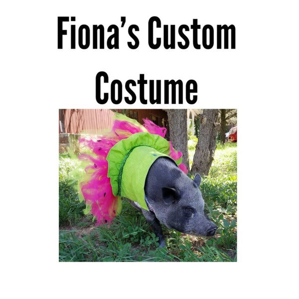 Fiona’s Custom Costume