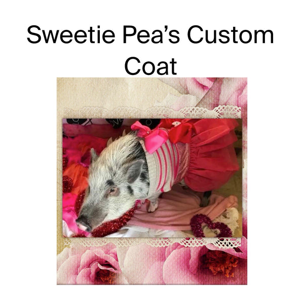 Sweetie Pea’s Custom Coat