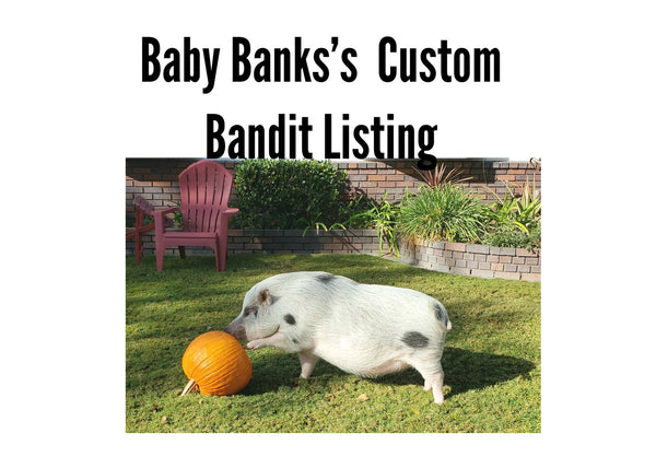 Baby Banks’s Custom Bandit Listing