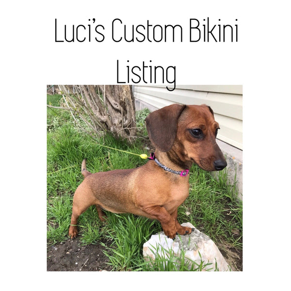 Luci’s Custom Bikini Listing