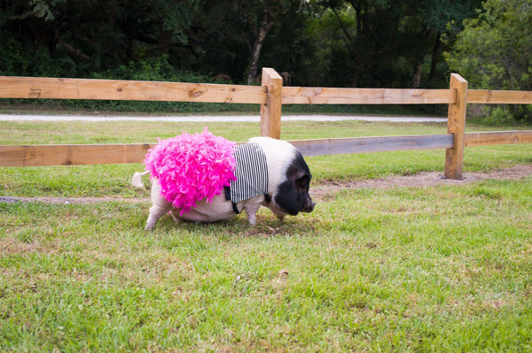 My Little Diva Dress - Snort Life  - 5