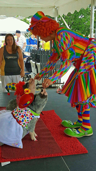 Clown'N Around Bubble Dress - Snort Life  - 6