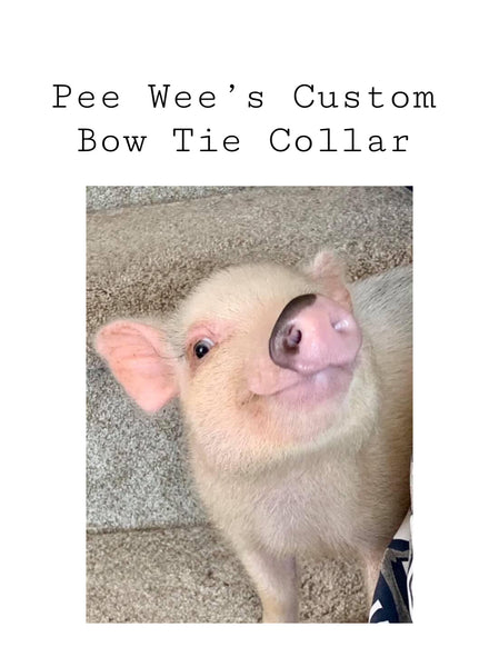 Pee Wee’s Custom Listing