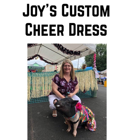 Joy’s Custom Cheer Dress