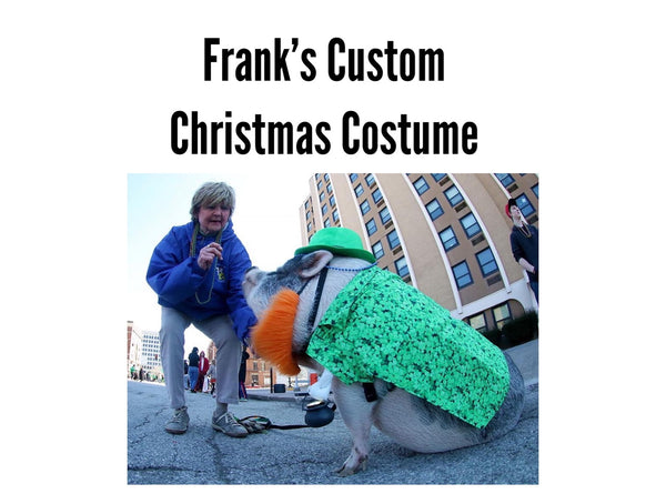Frank’s Custom Christmas Costume