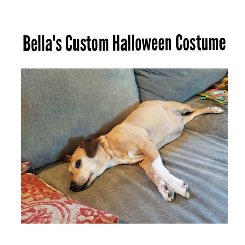 Bella's Custom Pig Costume Listing - Snort Life 