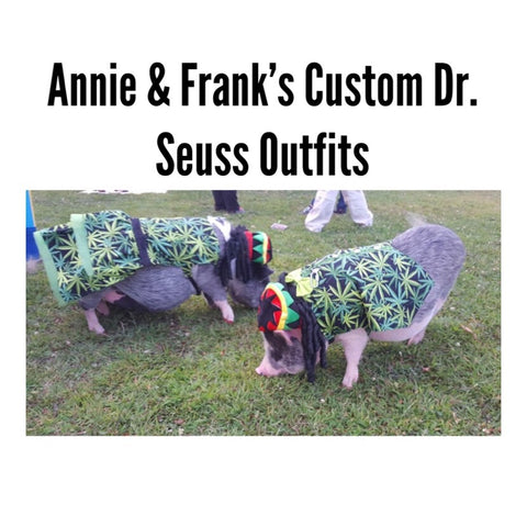 Annie & Frank’s Custom Dr Seuss Outfits