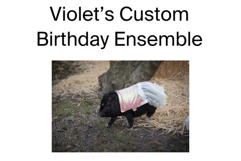 Violet’s Custom Birthday Ensemble